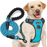 Adjustable Dog Harness