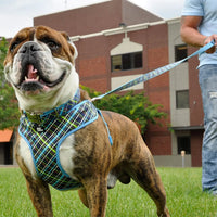 Adjustable Dog Harness