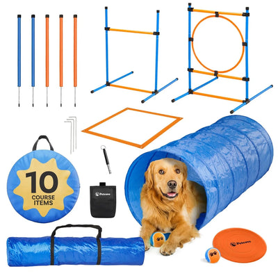 Dog Agility Training Set