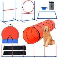 Dog Agility Training Set