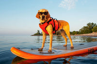 Dog Life Jacket