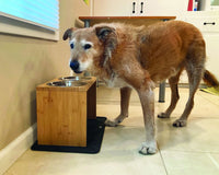 Elevated Dog Food Bowls