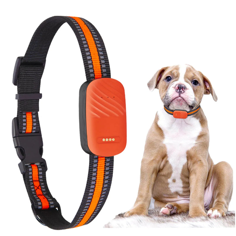 GPS Pet Tracker Collar