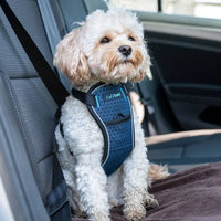 Pet Safety Car Harness