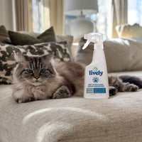 Pet Stain Odor Eliminator