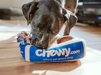 Smart Pet Feeder - WiFi Automatic