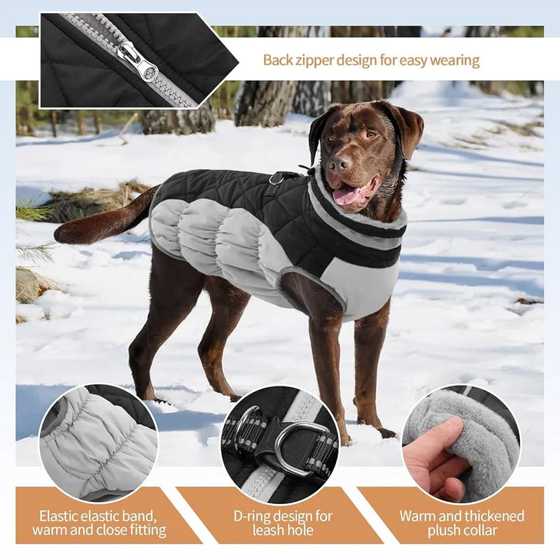 Waterproof Dog Coat