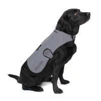 Waterproof Dog Coat